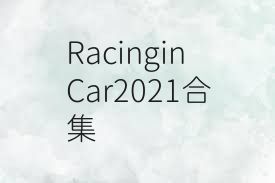 RacinginCar2021合集