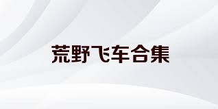 荒野飞车合集