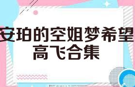 安珀的空姐梦希望高飞合集