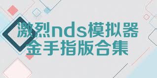 激烈nds模拟器金手指版合集