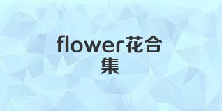 flower花合集