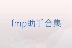 fmp助手合集