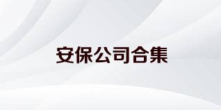 安保公司合集