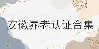 安徽养老认证合集