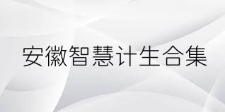 安徽智慧计生合集