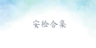 安检合集