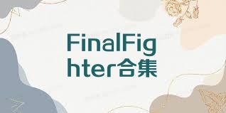 FinalFighter合集