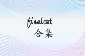 finalcut合集