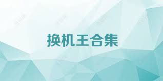 换机王合集