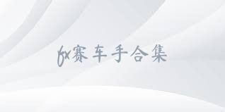 fx赛车手合集