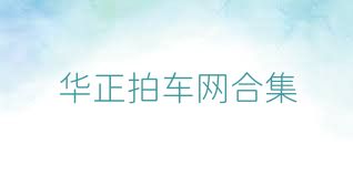 华正拍车网合集
