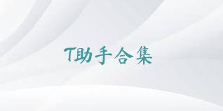 T助手合集