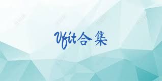 Vfit合集
