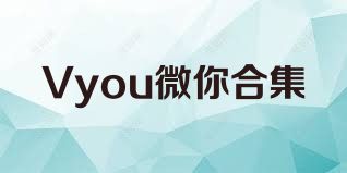 Vyou微你合集