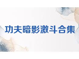 功夫暗影激斗合集